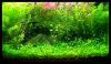 12er_2010_06_05.jpg