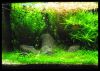 54er_2010_07_14.jpg