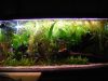 DSCF1518entw0_6.jpg