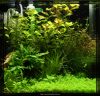 10_02_28_Update_Aquarium_0630.jpg