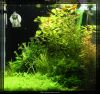 10_02_28_Update_Aquarium_0632.jpg