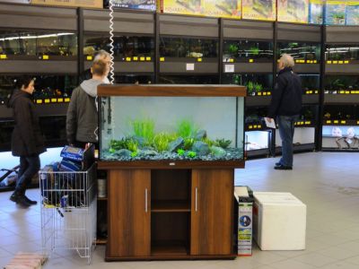 Klicken für Bild in voller Größe