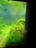 DSC00805.JPG