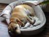 DSC00932.JPG