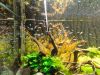 DSC01140.JPG