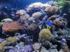 DSC01520.JPG