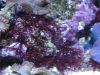 DSC01570.JPG