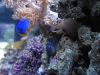DSC01574.JPG