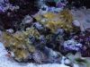 DSC01622.JPG