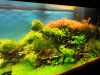 DSC01747.JPG