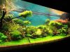 DSC01750.JPG