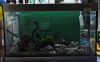 DSC01764.JPG