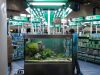 DSC01768.JPG