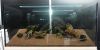 DSC01774.JPG