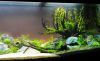 DSC01878.JPG