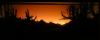 DSC01887.JPG