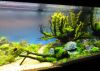 DSC02040.JPG