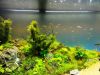 DSC02146.JPG