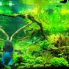 DSC02601.JPG