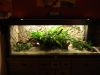 DSC05177.JPG