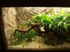 DSC05183.JPG