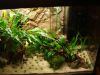 DSC05185.JPG