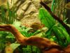 DSC05257.JPG