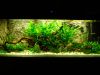 DSC05266.JPG