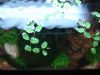 DSC05515.JPG
