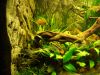 DSC05518.JPG