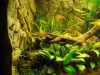 DSC05519.JPG