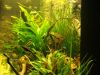 DSC05529.JPG