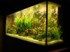 DSC05530.JPG