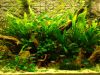 DSC05533.JPG