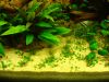 DSC05535.JPG