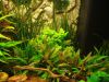 DSC05852.JPG