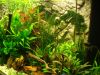 DSC05860.JPG