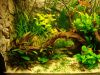 DSC05870.JPG