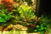DSC05872.JPG