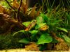 DSC05875.JPG