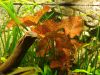 DSC05886.JPG