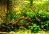 DSC05897.JPG