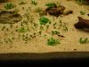 DSC06080.JPG