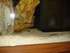 DSC06110.JPG