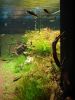 DSC06339.JPG