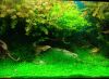DSC06530.JPG