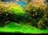 DSC06532.JPG