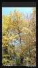 comp_DSC01028.jpg