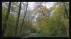 comp_DSC01034.jpg