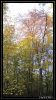 comp_DSC01036.jpg